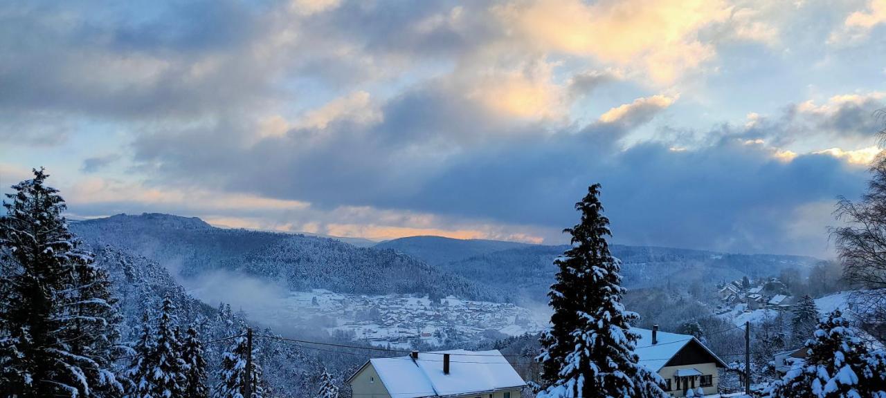 Au Chalet Bain Nordique Neuf Independant Calme Assure Haselbourg Exteriör bild
